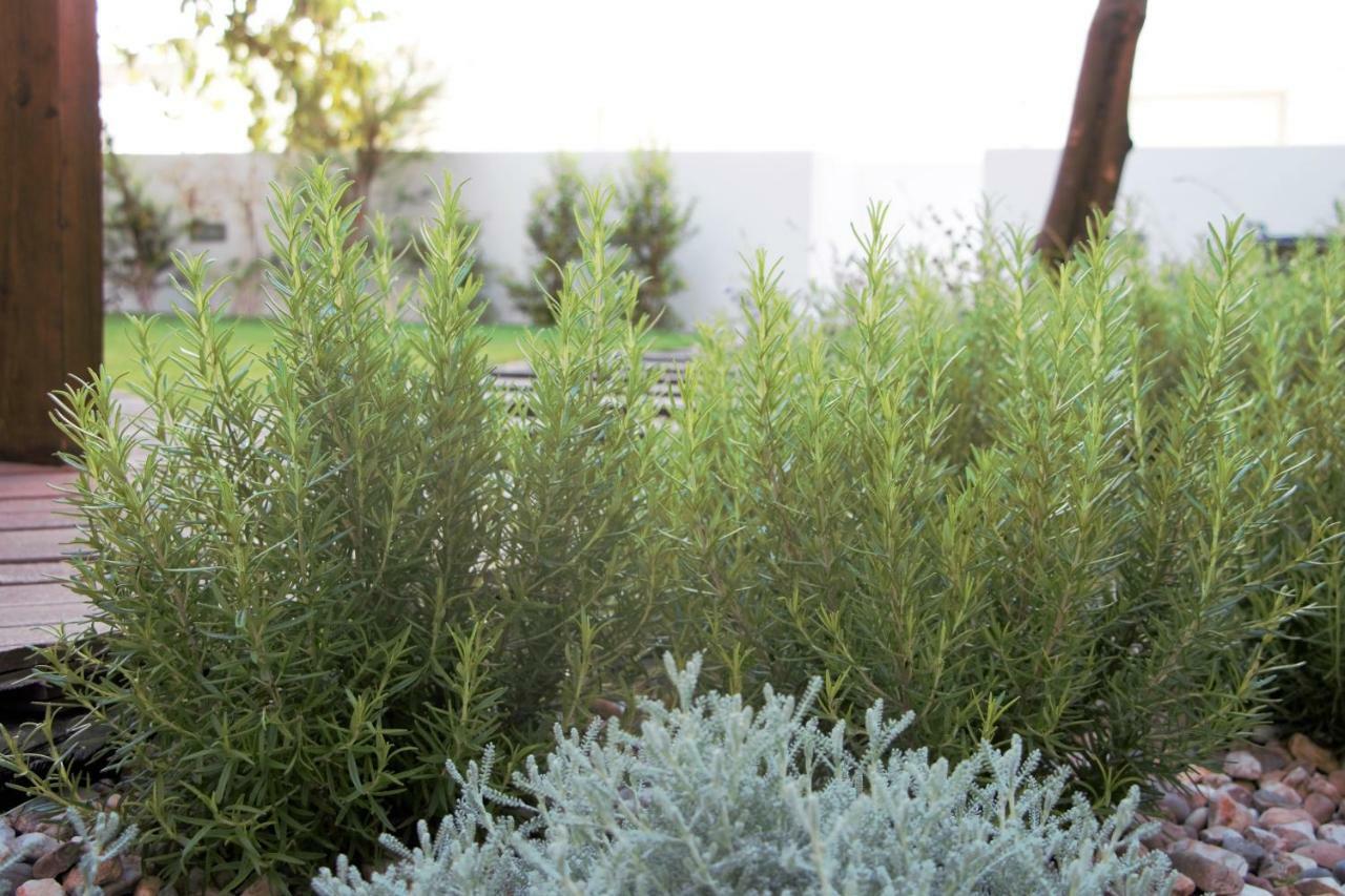 Graca Garden Home Lisboa Екстериор снимка